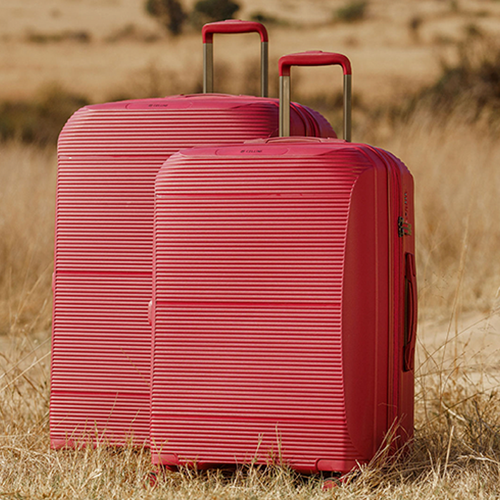 Cellini Qwest Medium Trolley Case